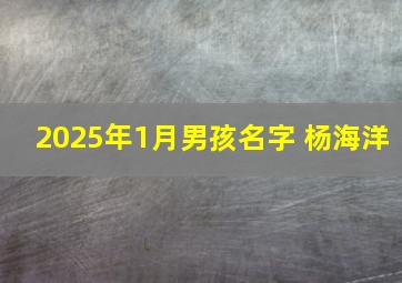 2025年1月男孩名字 杨海洋